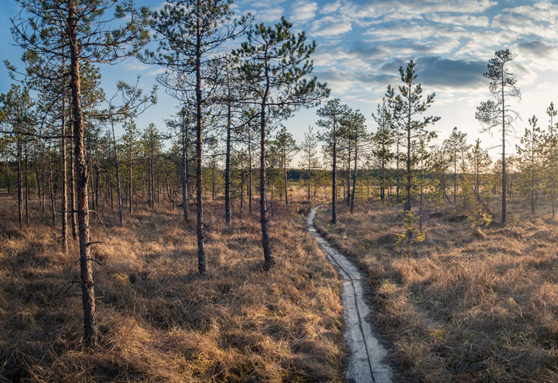 Koulutusvelvollisuus työsuhteen päättyessä