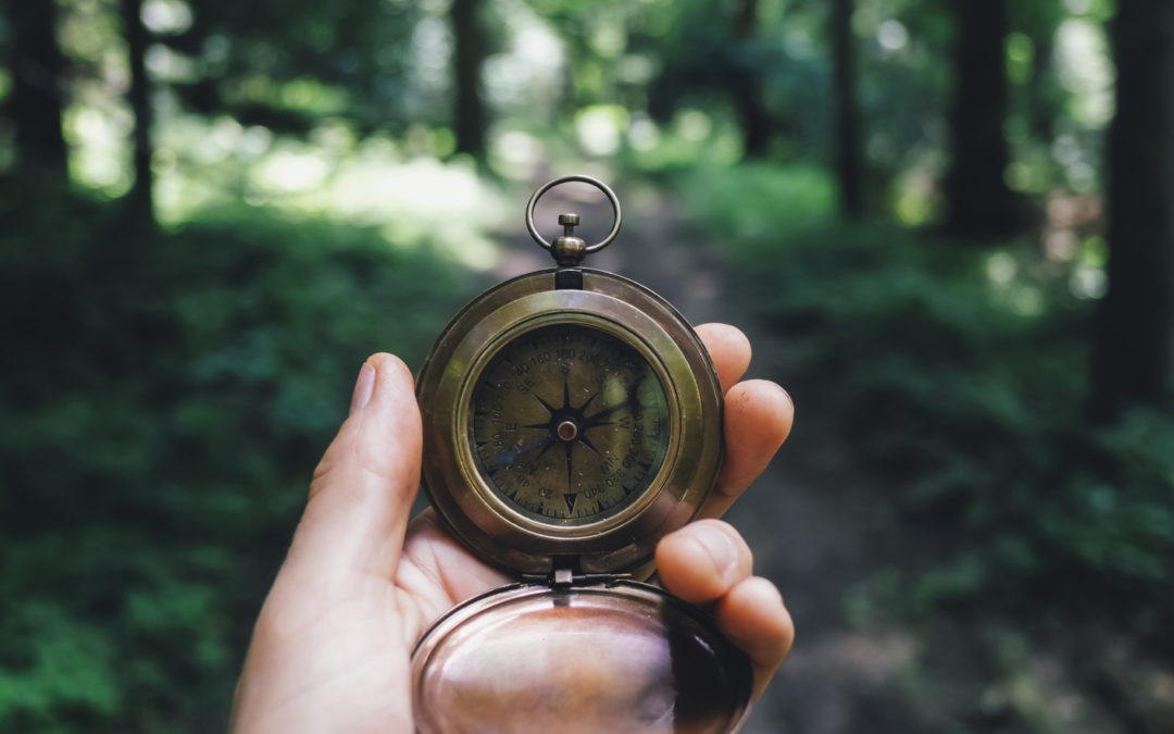 Koulutusvelvollisuus työsuhteen päättyessä