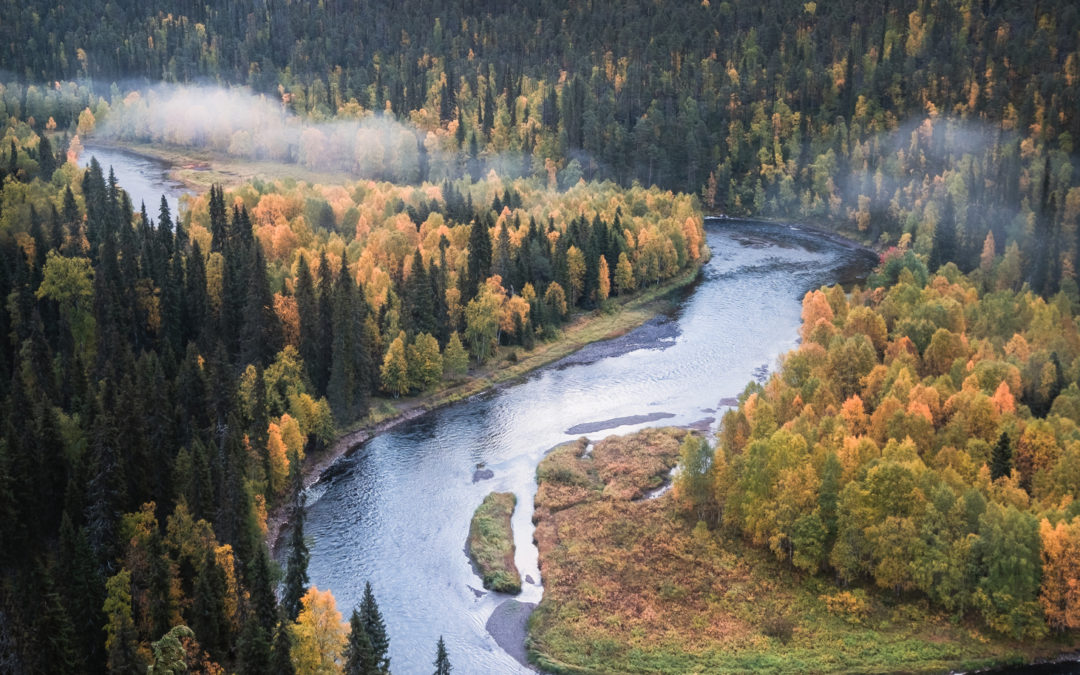 Miten perustella Koulutussetelin käyttö omalle työnantajalle?