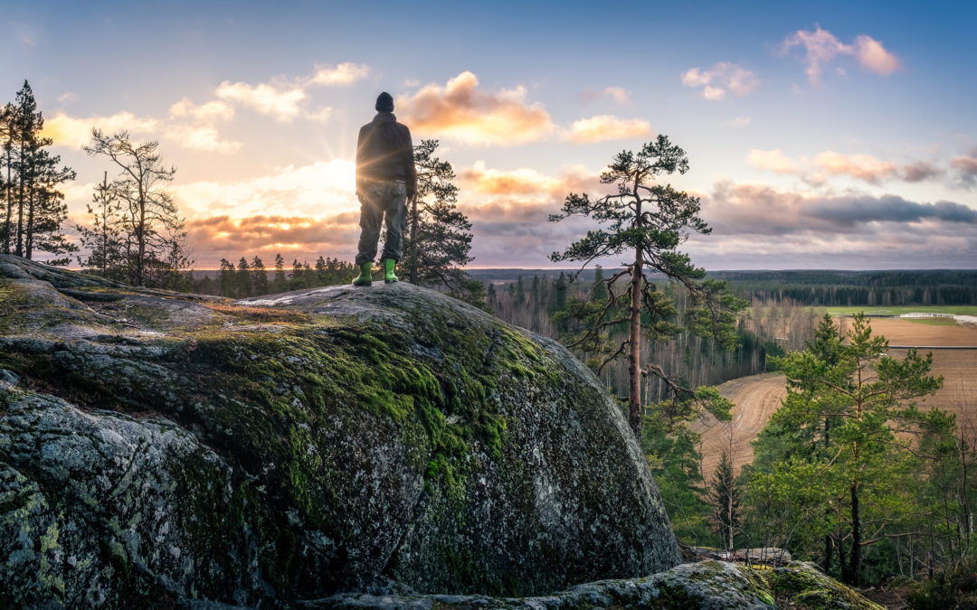 Mikä on koulutusseteli?