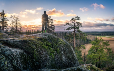 Mikä on koulutusseteli?